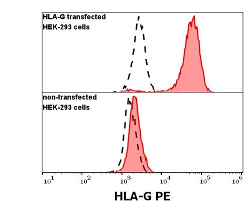 Anti-HLA-G PE