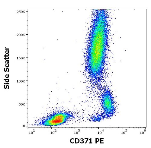 Anti-Hu CD371 PE