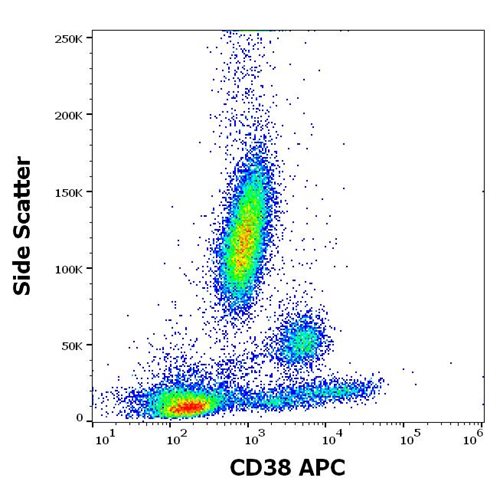 Anti-Hu CD38 APC