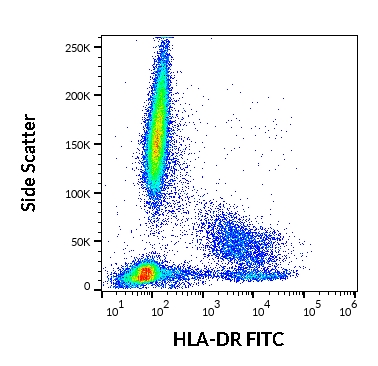 Anti-HLA-DR FITC