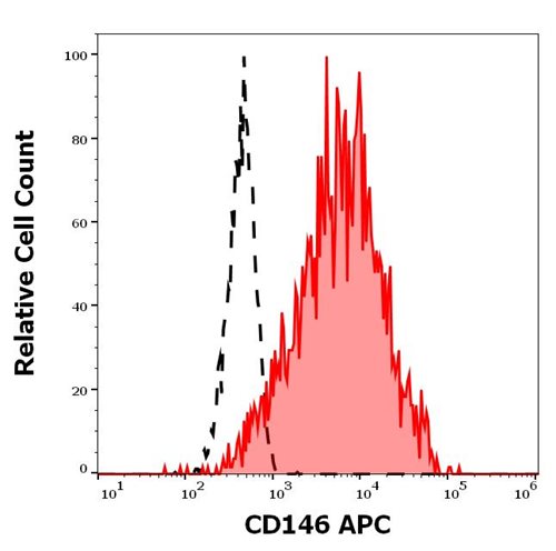 Anti-Hu CD146 APC