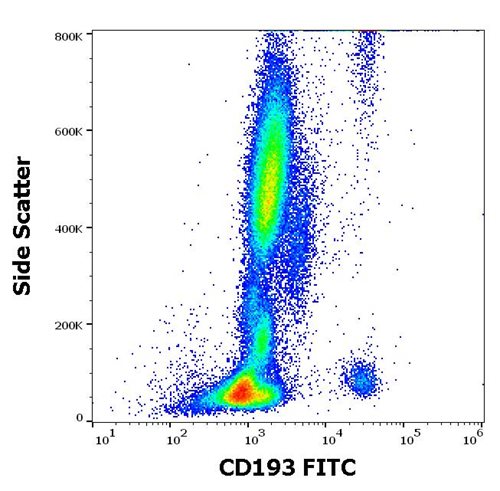 Anti-Hu CD193 FITC