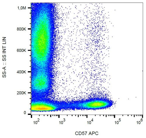 Anti-Hu CD57 APC