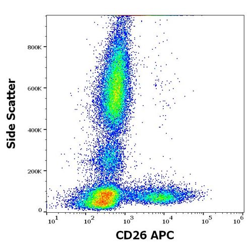 Anti-Hu CD26 APC