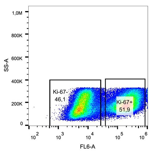 Anti-Ki-67 Alexa Fluor<sup>®</sup> 647