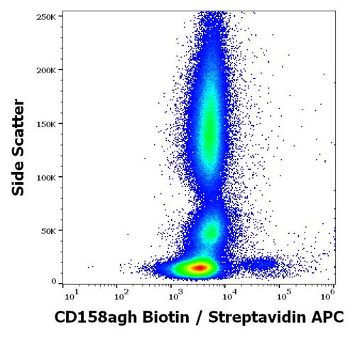 Anti-Hu CD158agh Biotin