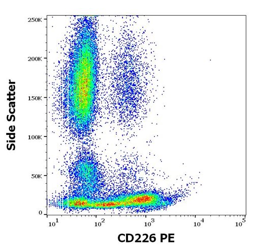 Anti-Hu CD226 PE