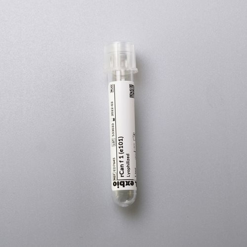 rCan f 1 (e101)