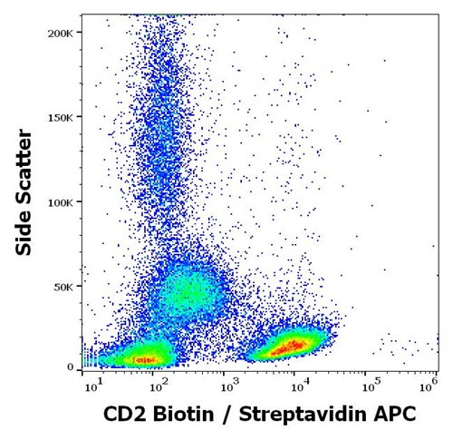 Anti-Hu CD2 Biotin