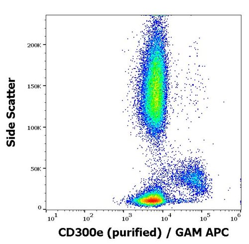 Anti-Hu CD300e Purified