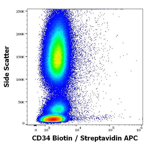 Anti-Hu CD34 Biotin
