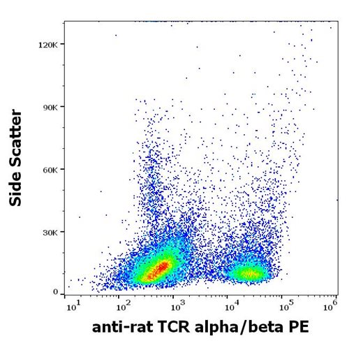 Anti-Rt TCR alpha/beta PE