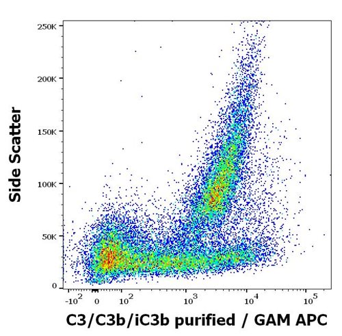 Anti-C3/C3b/iC3b Purified