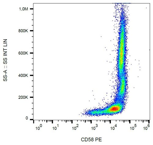 Anti-Hu CD58 PE