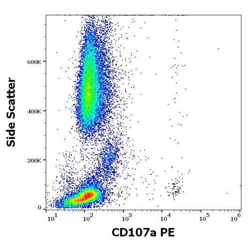Anti-Hu CD107a PE