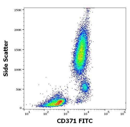 Anti-Hu CD371 FITC