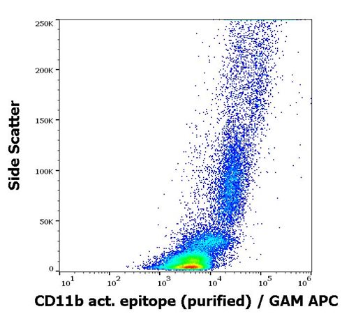 Anti-Hu CD11b (activation epitope) Purified