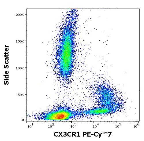 Anti-Hu CX3CR1 PE-Cy™7