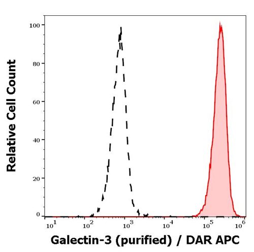 Anti-Galectin-3 Purified