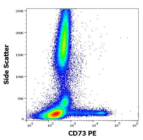 Anti-Hu CD73 PE