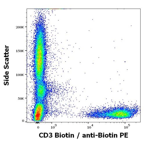 Anti-Biotin PE