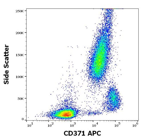 Anti-Hu CD371 APC