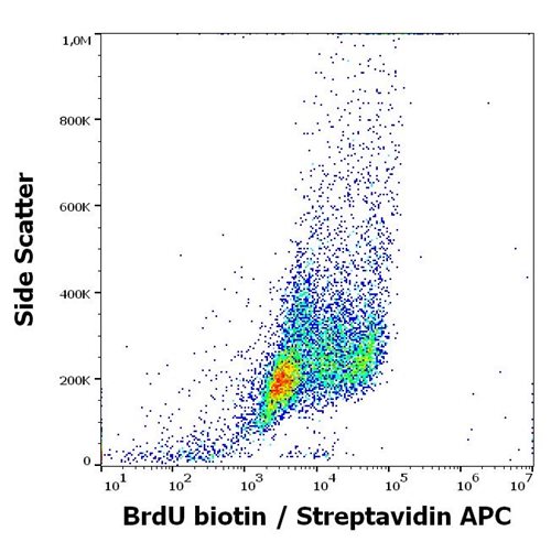 Anti-BrdU Biotin