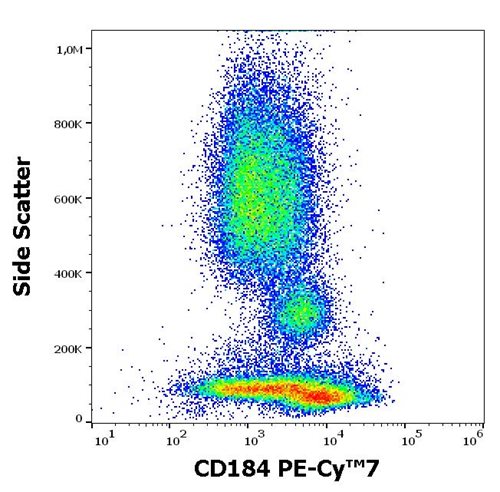 Anti-Hu CD184 PE-Cy™7