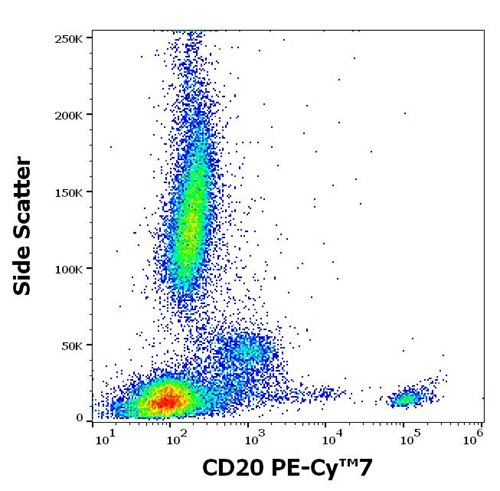 Anti-Hu CD20 PE-Cy™7