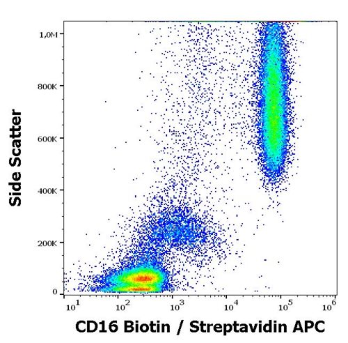 Anti-Hu CD16 Biotin
