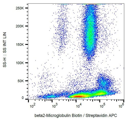 Anti-Hu beta2-Microglobulin Biotin