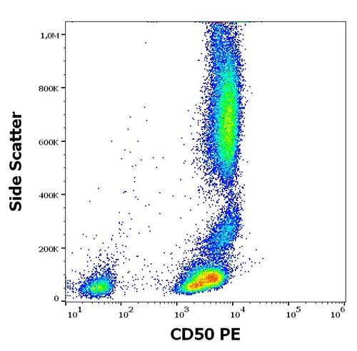 Anti-Hu CD50 PE