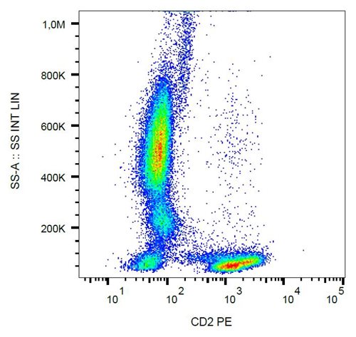 Anti-Hu CD2 PE