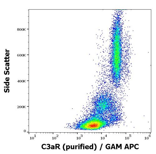 Anti-Hu C3aR Purified
