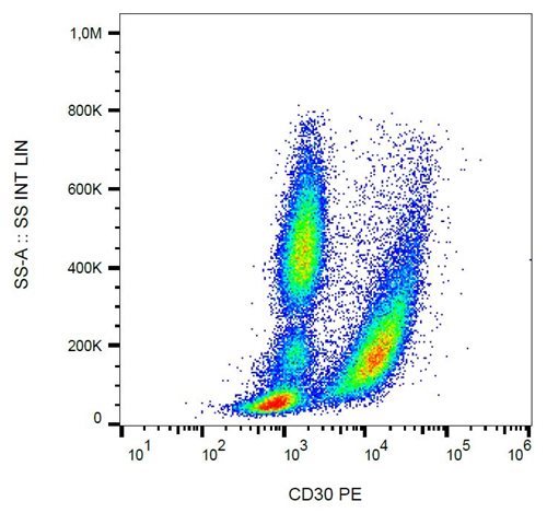 Anti-Hu CD30 PE