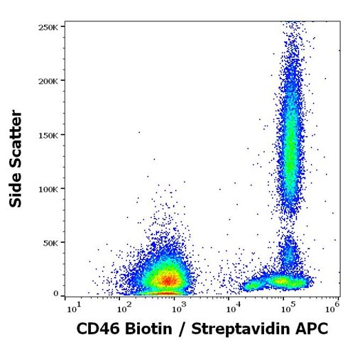 Anti-Hu CD46 Biotin