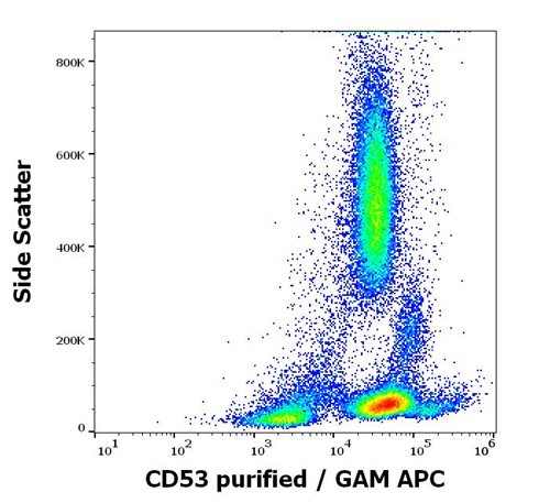 Anti-Hu CD53 Purified