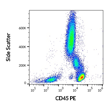 Anti-Hu CD45 PE