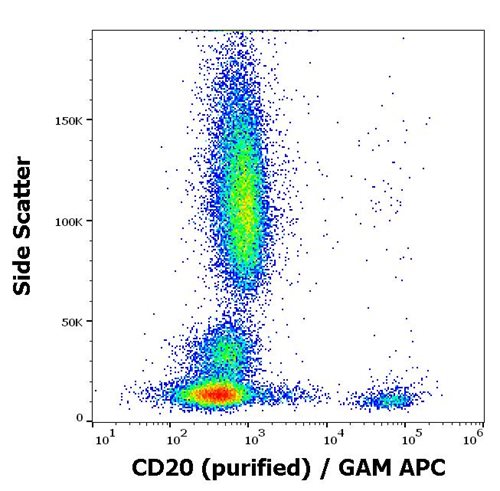 Anti-Hu CD20 Purified