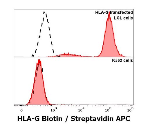 Anti-HLA-G Biotin