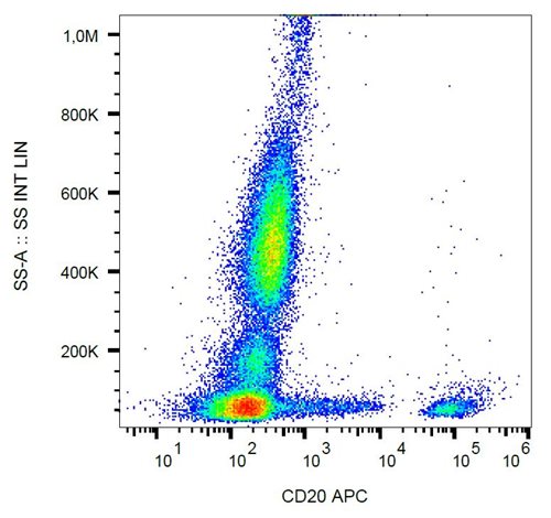 Anti-Hu CD20 APC