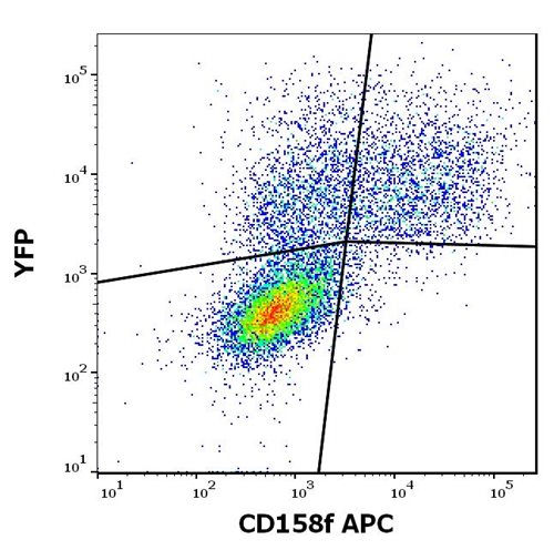 Anti-Hu CD158f APC