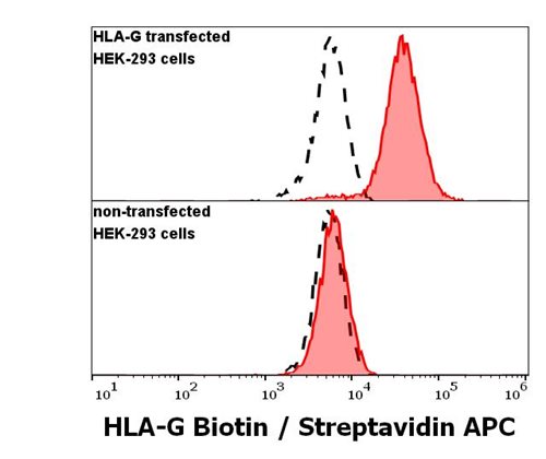 Anti-HLA-G Biotin