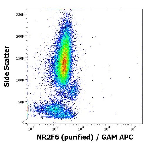 Anti-NR2F6 Purified