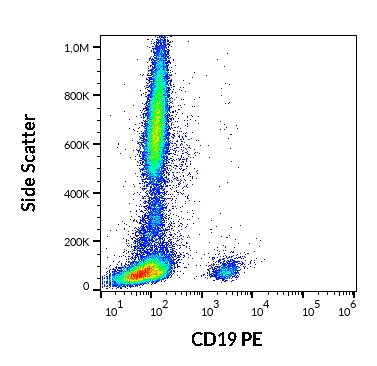 Anti-Hu CD19 PE