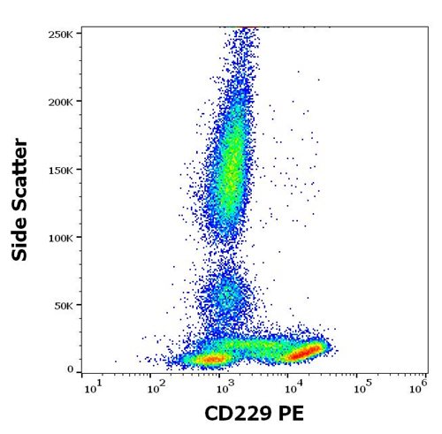 Anti-Hu CD229 APC