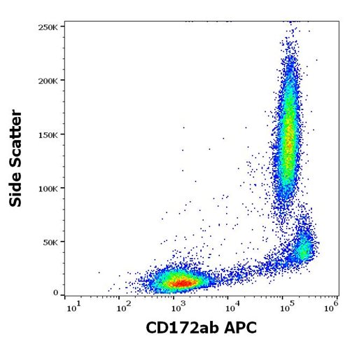 Anti-Hu CD172ab APC