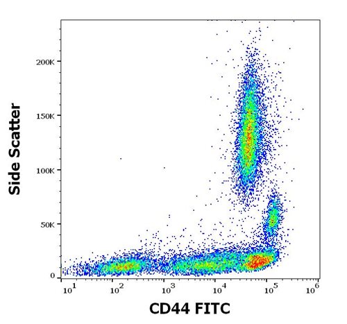 Anti-Hu CD44 FITC