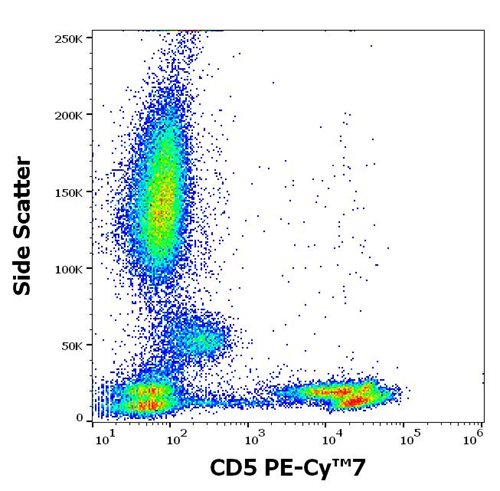Anti-Hu CD5 PE-Cy™7