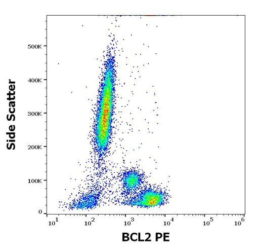 Anti-Hu BCL2 PE
